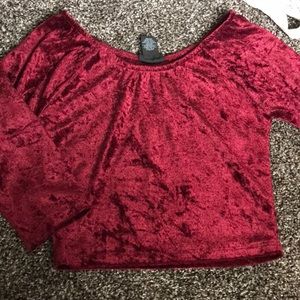 Velvet Cropped Blouse